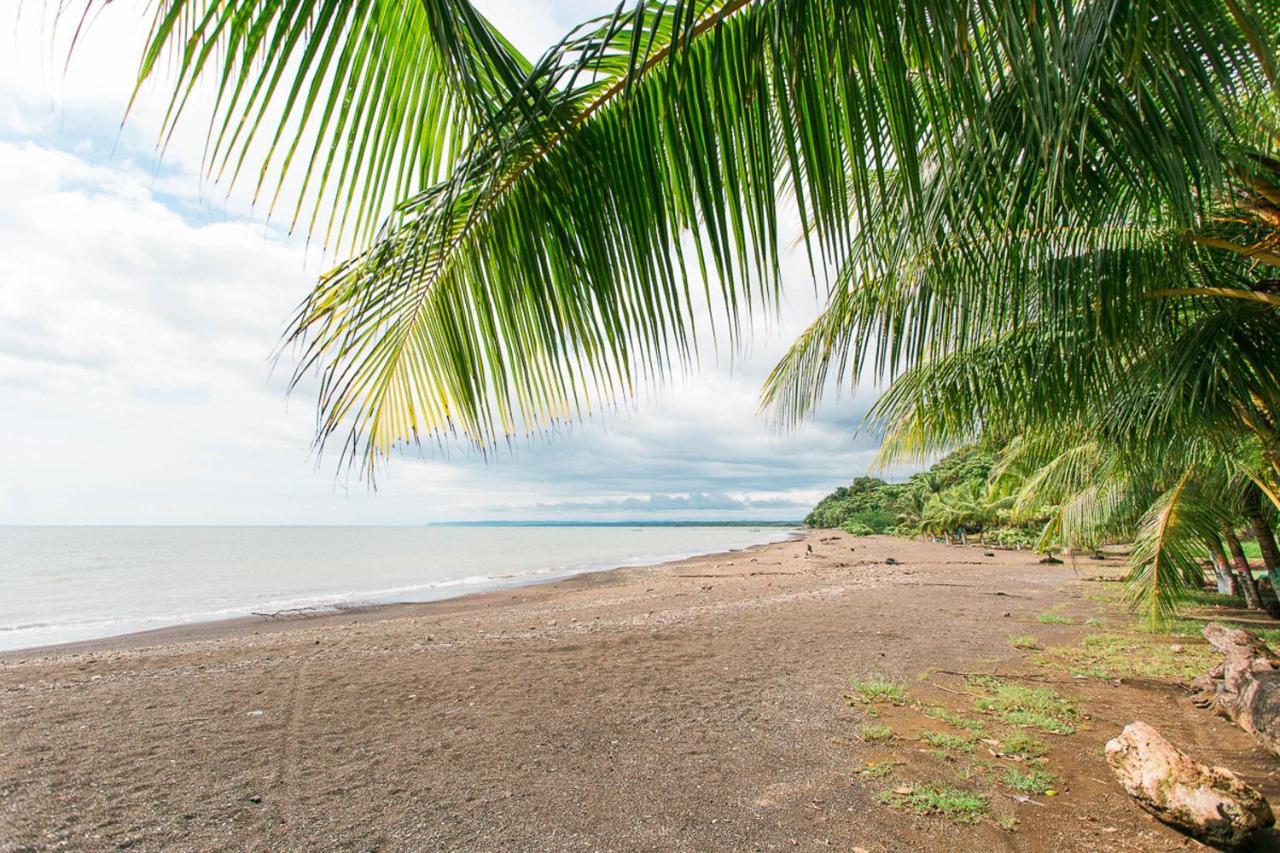 Pacific Edge Eco Lodge Dominical Dış mekan fotoğraf