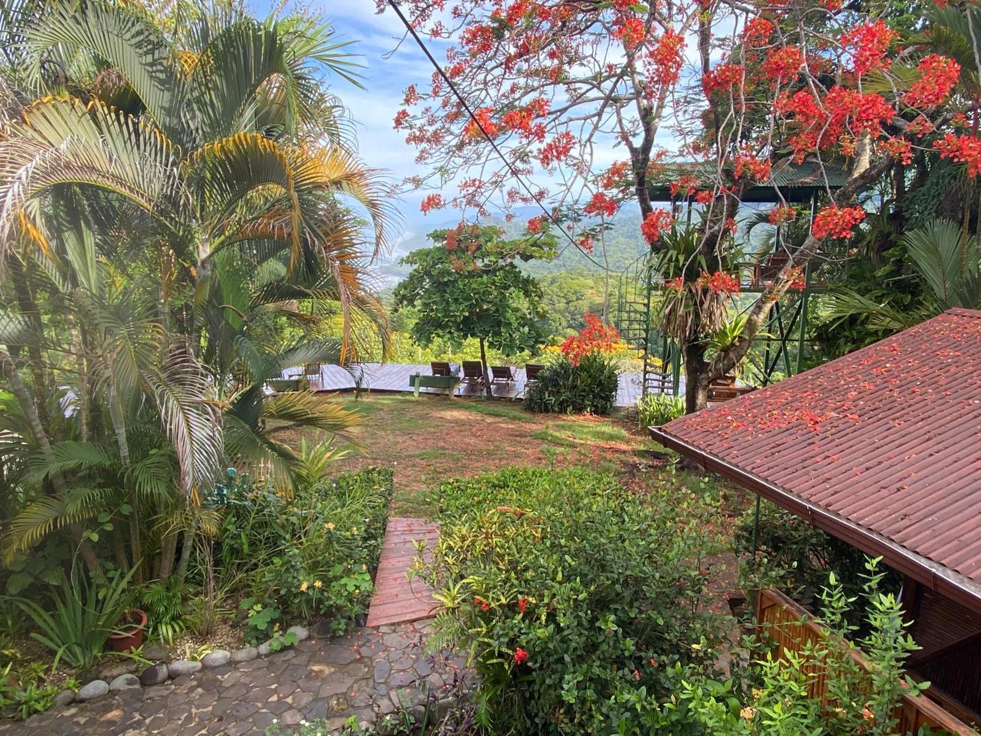 Pacific Edge Eco Lodge Dominical Dış mekan fotoğraf